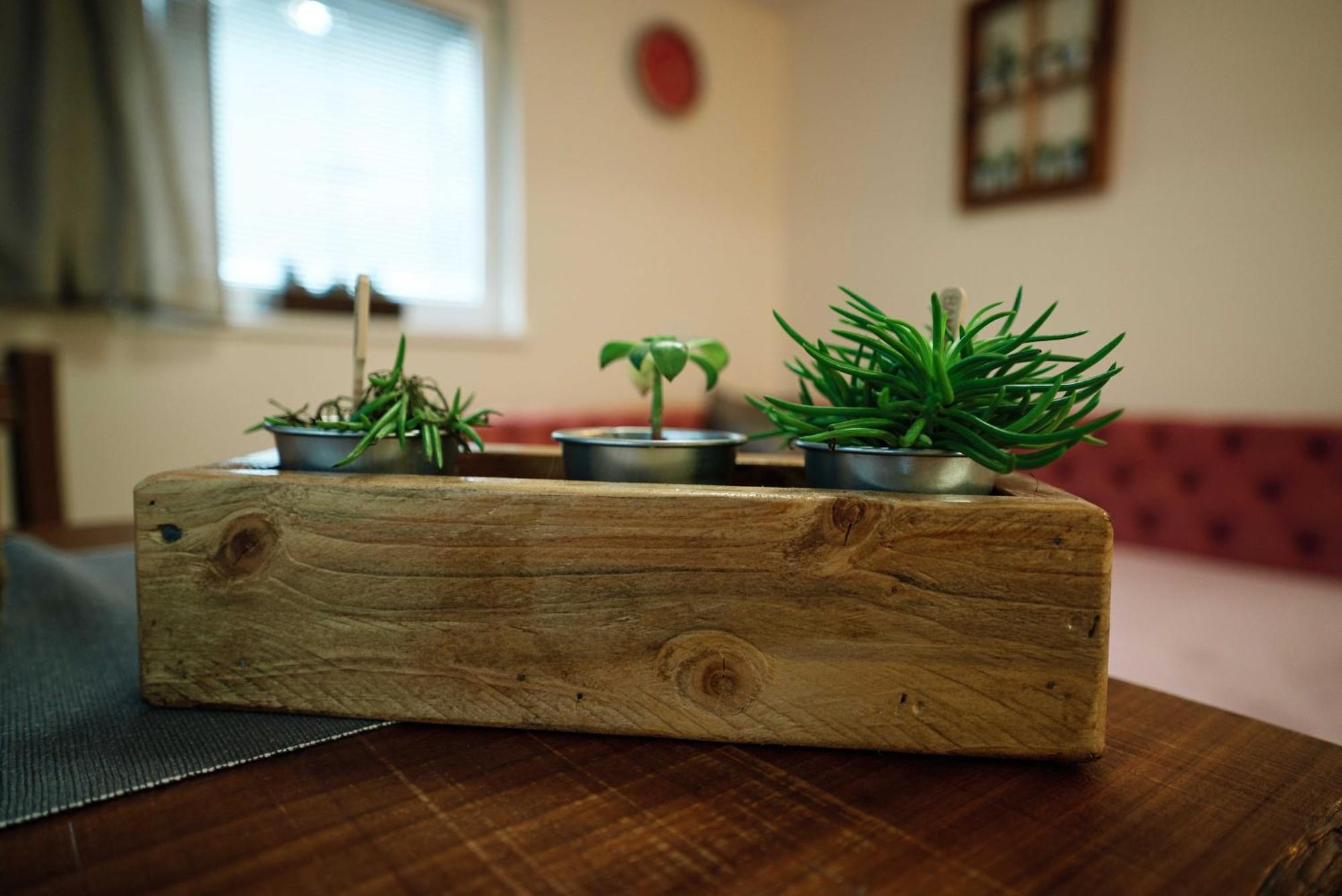 Apartment Hanny Lasko ภายนอก รูปภาพ